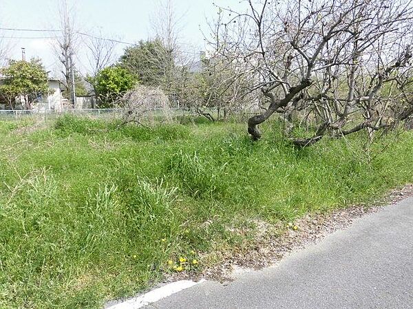 外観：321000079118