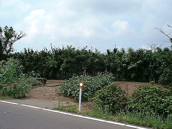 外観：315000027684