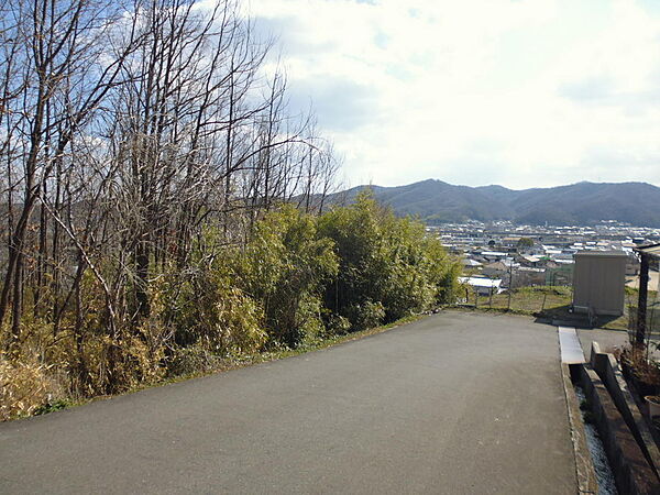 外観：334000199909