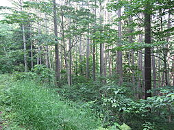 長野県上水内郡信濃町大字富濃