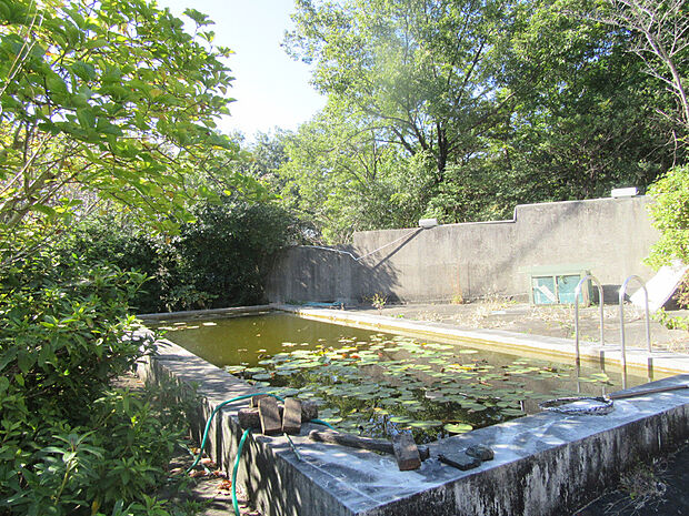 天白区天白町野並 プールと離れのある平家建住宅 5dkの中古一戸建て情報 スマイティ 物件番号 23