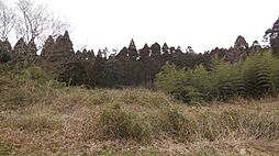 千葉県山武市大木