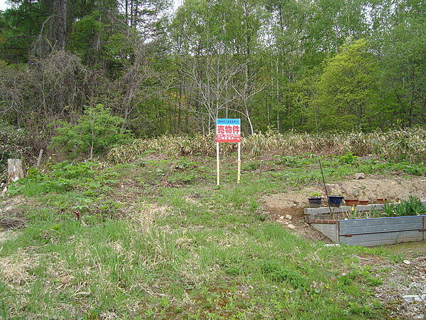 外観：301000097214