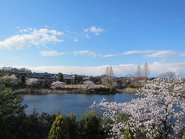 新池の眺望をお楽しみいただけます
