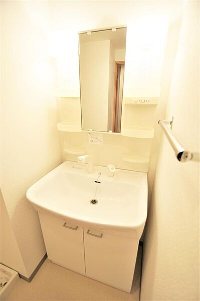 画像18:シャワー付き洗面洗面化粧台は人気の設備です。身だしなみを整える際に便利です。