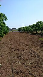 茨城県小美玉市羽鳥2352-1298