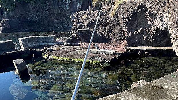 敷地内で釣りを楽しめます。季節によって色々な魚が釣れます。