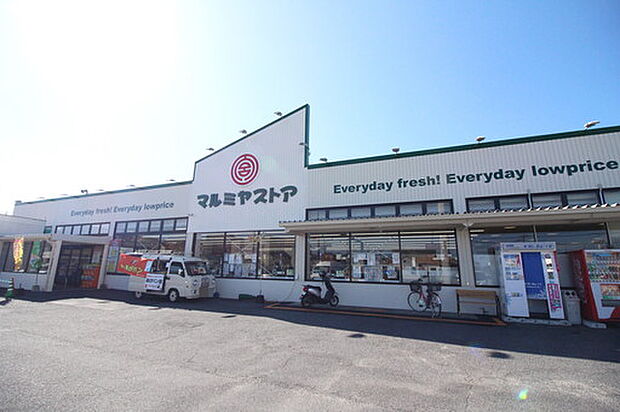 マルミヤストア坂ノ市店