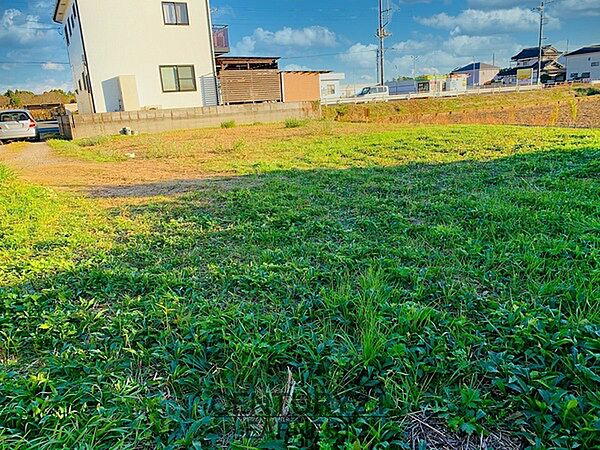 外観：312001197618