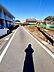 その他：前面道路（西側）