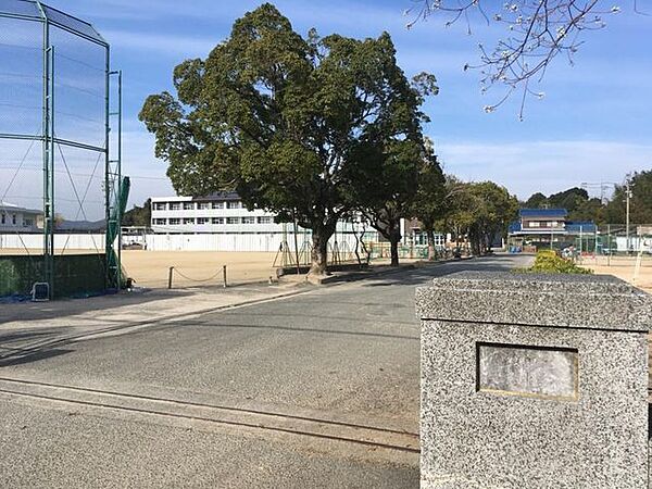 桑山中学校 1400m