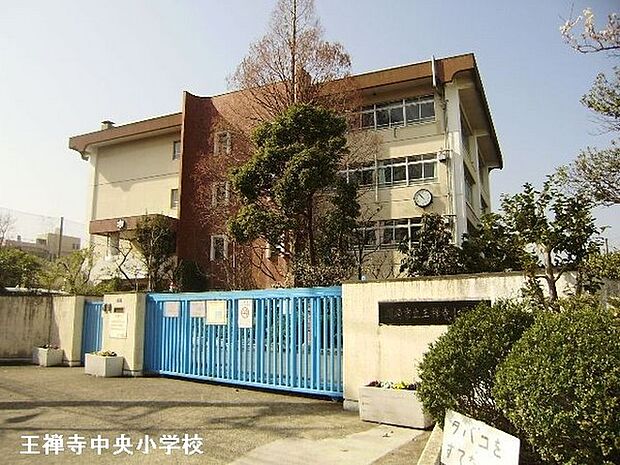 小学校 王禅寺 中央
