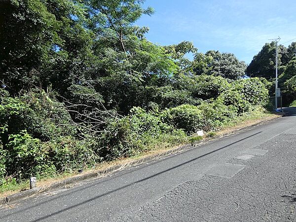 外観：322000464229