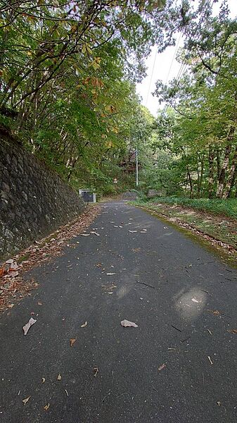 現地（2022年10月）撮影 東側道路