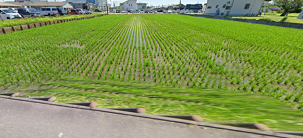 外観：323000445987