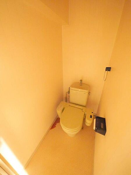 ツッパリ棚を付けると収納が増え、トイレ用品の他に観葉植物などを飾る場所ができて雰囲気が変わります。