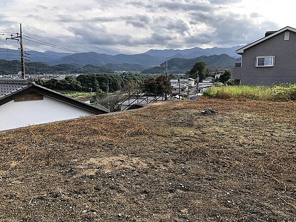 外観：310000029501