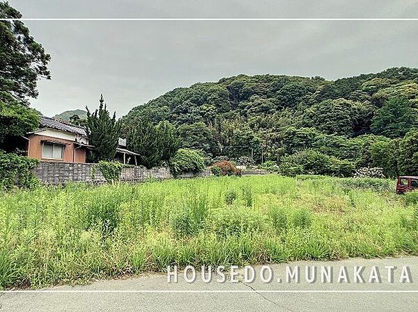 外観：340000228081