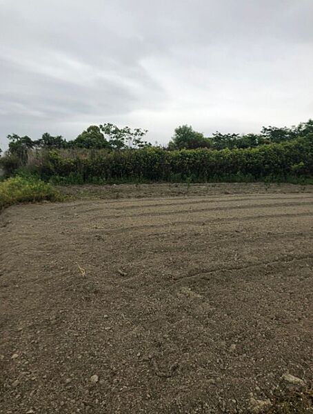 外観：323000486399