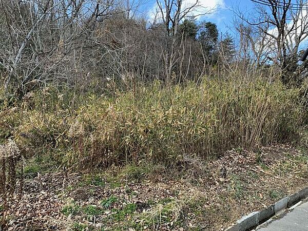 外観：328000487109