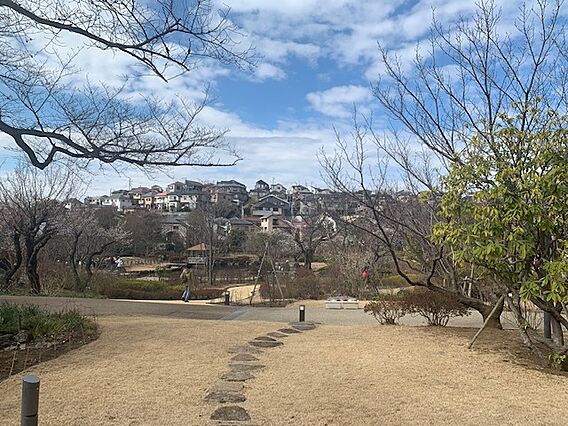 馬場花木園へ徒...