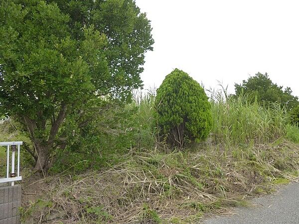 外観：312001199363