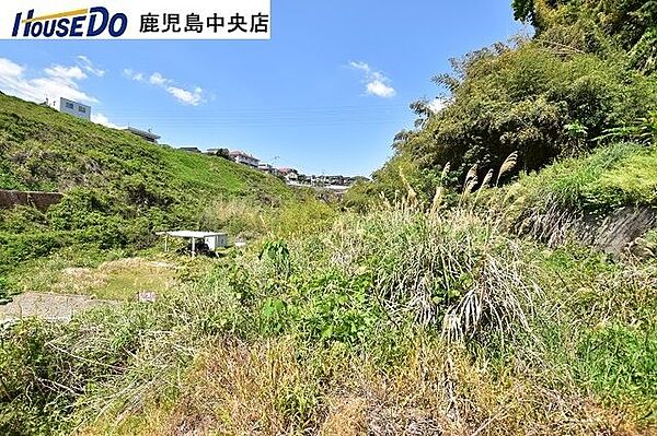 段々になっている敷地部分です