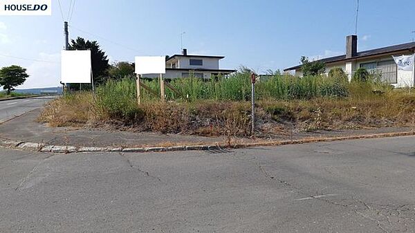 外観：301000066549