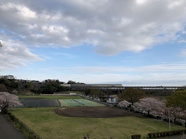 現地からの眺望：自宅から桜も見えます