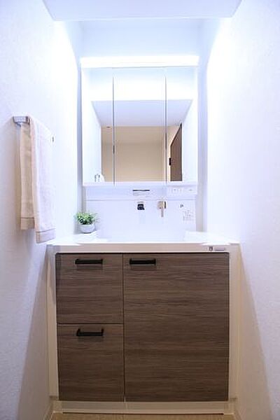 シンプルで使いやすいデザインのものになっております。収納がたくさんついており、散らかりがちな洗面台もすっきりとできそうですね。