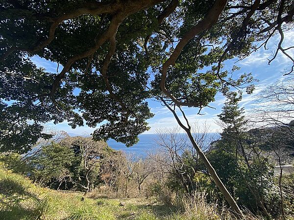 外観：322000465949