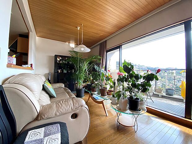【リビング】マンション特有の木製天井は周りの山々や観葉植物との調和性が素晴らしいです。