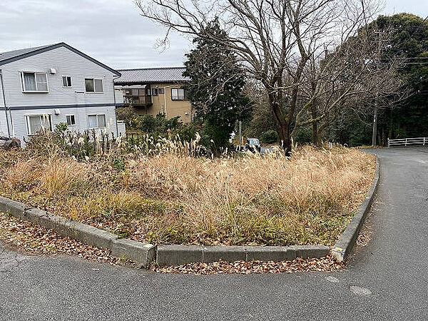 外観：322000577665