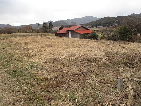 外観：335000031193