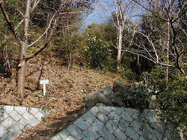 外観：322000464353