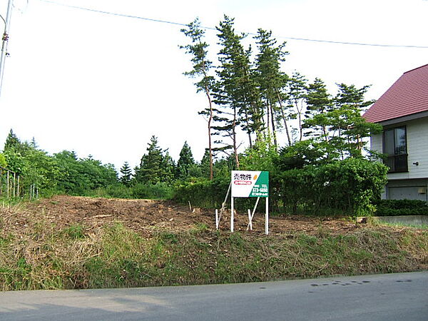 外観：305000002297