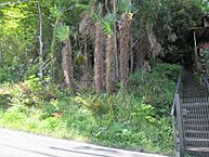 愛知県瀬戸市東松山町52：物件画像