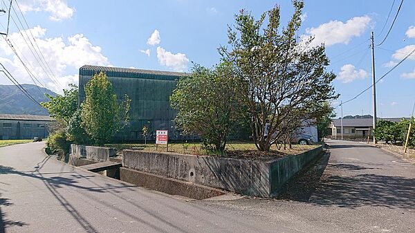 外観：338000044272