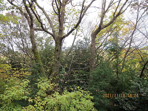 別荘へ行く途中...