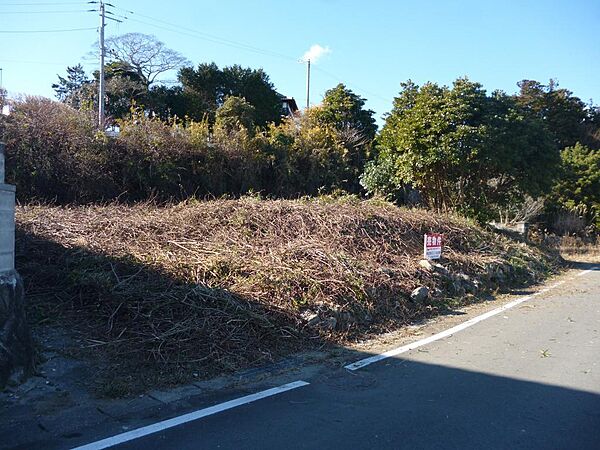 外観：307000064667