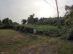 千葉県山武郡芝山町山田1141-3