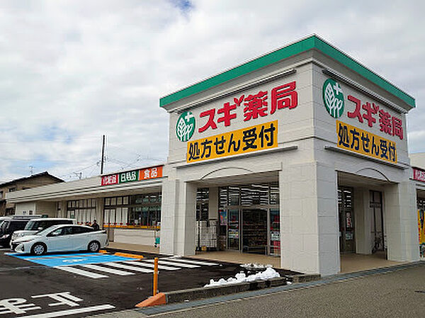 画像15:スギ薬局 野々市中央店（831m）