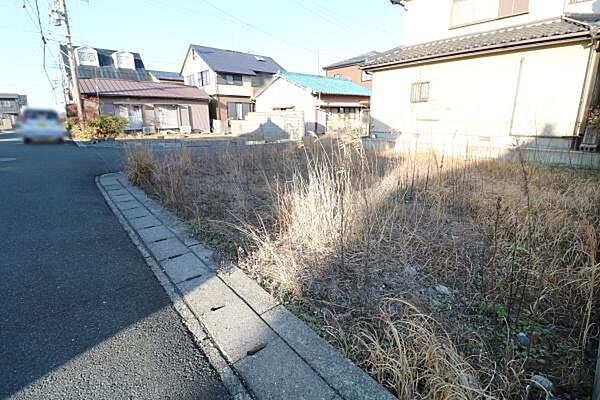 西側から撮影。