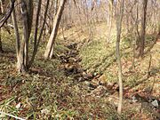 敷地の奥には小さな沢があります.季節や天候によって小川が流れます。