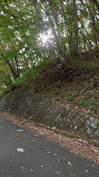 現地（2022年10月）撮影