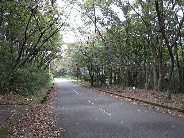 外観：309000067826