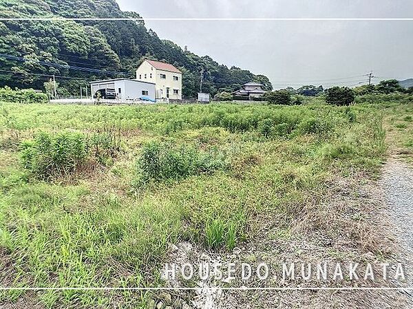 外観：340000228082