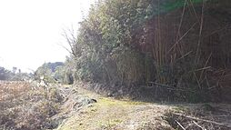 千葉県山武市埴谷