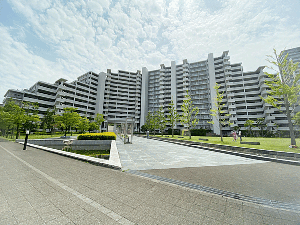 外観：313004464455