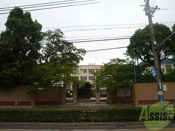 画像28:神戸市立雲中小学校 859m